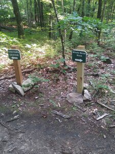 Pyramid Mountain Loop Hiking Trail, Boonton, New Jersey