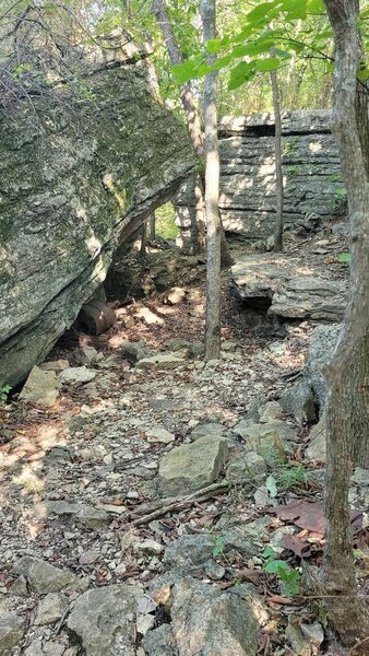 Path over a rock shelf between tumbled limestone outcropping.