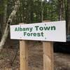 Albany Town Forest.