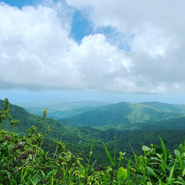 El Yunque National Rainforest.