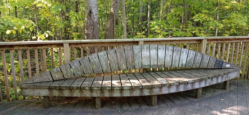 Boardwalk trail seating.
