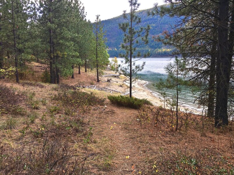 Trail follows a small stretch of Lake Koocanusa's eastern shore.