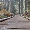 One of many boardwalks along the trail.