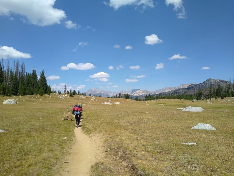Heading north on the CDT from Big Sandy trailhead, mountains of the Continental Divide rise in the distance.