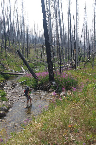Stream crossing between Teton Pass and Grizzly Park.