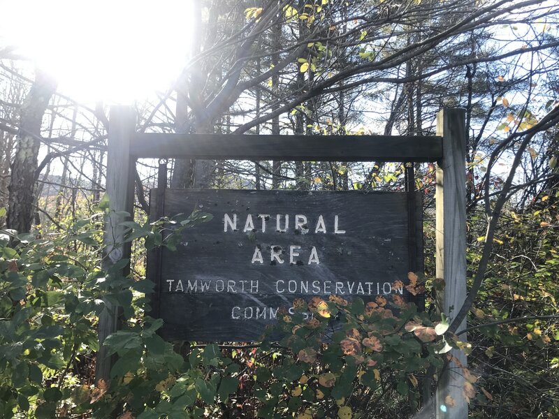Emerson Natural Area is a 6.4 acre parcel owned by the state of NH.