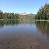 3-Fingered Jack from Lower Berley Lake (8-19-2021)
