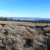 Big Summit Prairie from trail (12-3-2021).