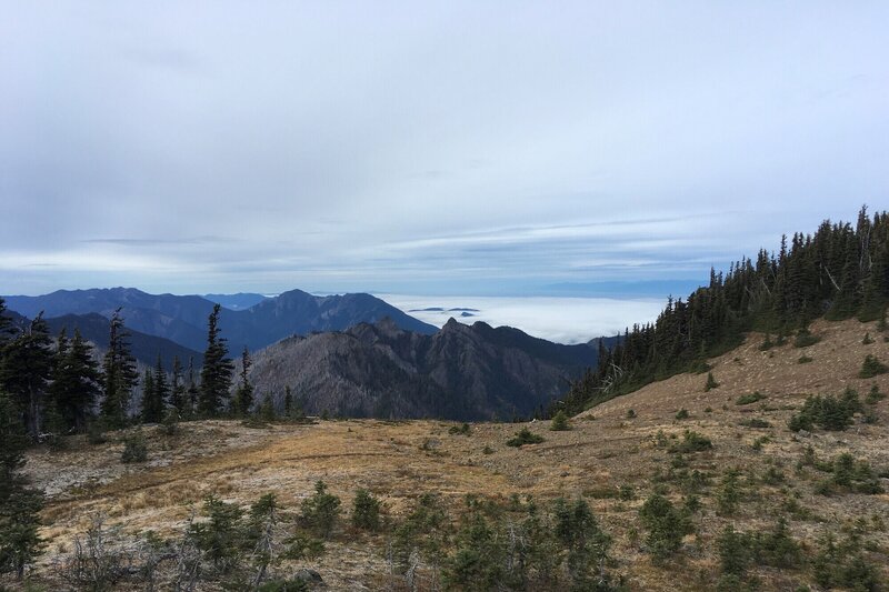 Mount Angeles Summit Climbers Trail Hiking Trail, Port Angeles, Washington