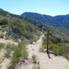 Junction of Trail Canyon Trail (right) and Condor Peak Trail looking south towards Condor Peak.