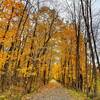 Autumn color change along the Hoosick River Greenway.