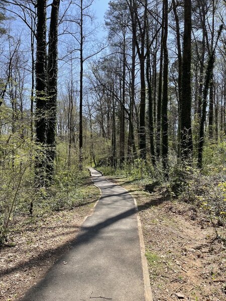 City of Decatur paved the main trail with asphalt in the summer of 2020