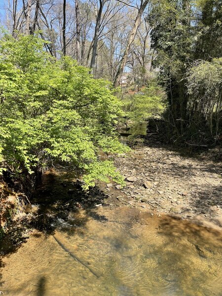 One of several access to Shoal Creek along the trail.