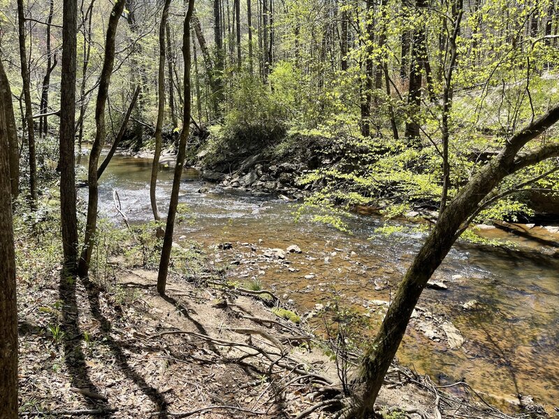 South Fork of the Peachtree Creek