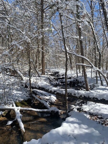 This was taken 3-12-22 on the Cadron Settlement Trail. It had snowed the night before. It was a beautiful hike.