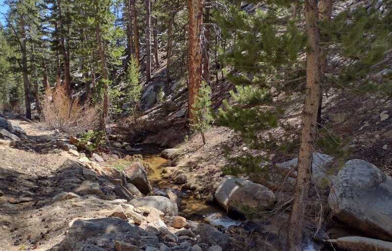 The South Fork Kern River flowing through a wooded area, has its beginnings in the high meadows and forested hills of Golden Trout Wilderness.