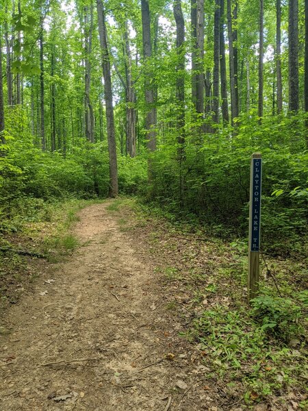 Claytor Lake Trail Hiking Trail, Dublin, Virginia