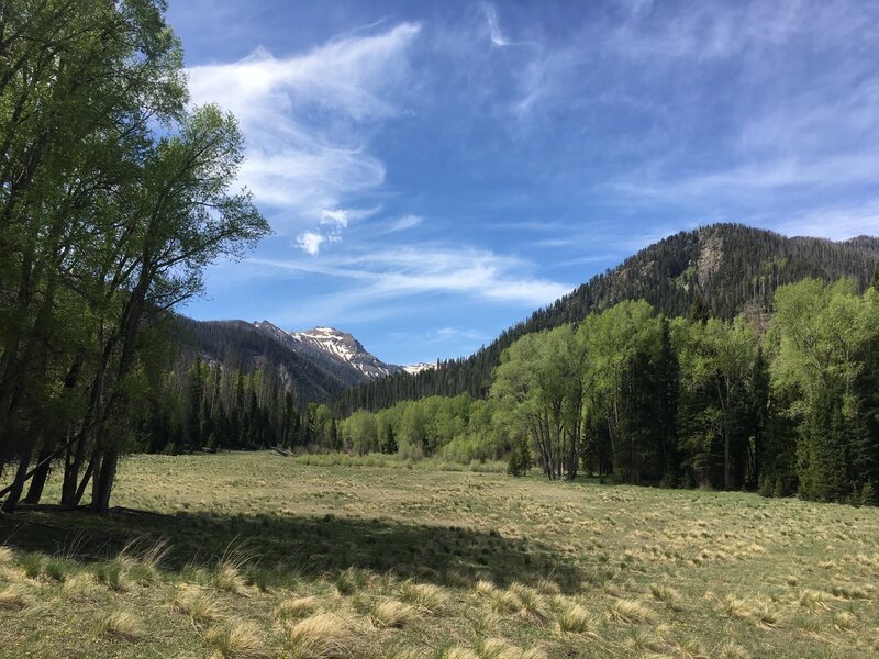 View up the Quartz Creek Valley from the trail.