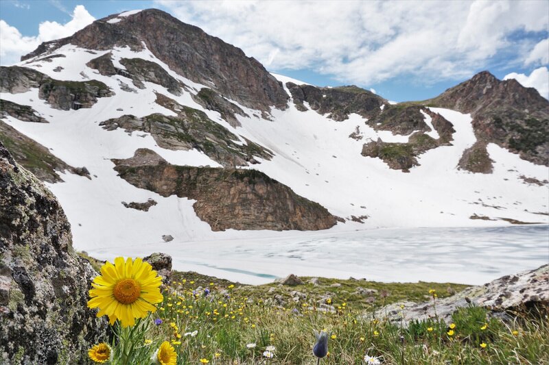 Wildflowers and an icy lake over the 4th of July in 2020.