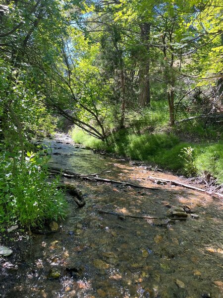 Bell Marsh Creek Trail Hiking Trail, Pocatello, Idaho