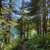 Beautiful Upper Waterton Lake is seen through the forest along Lakeshore Trail.