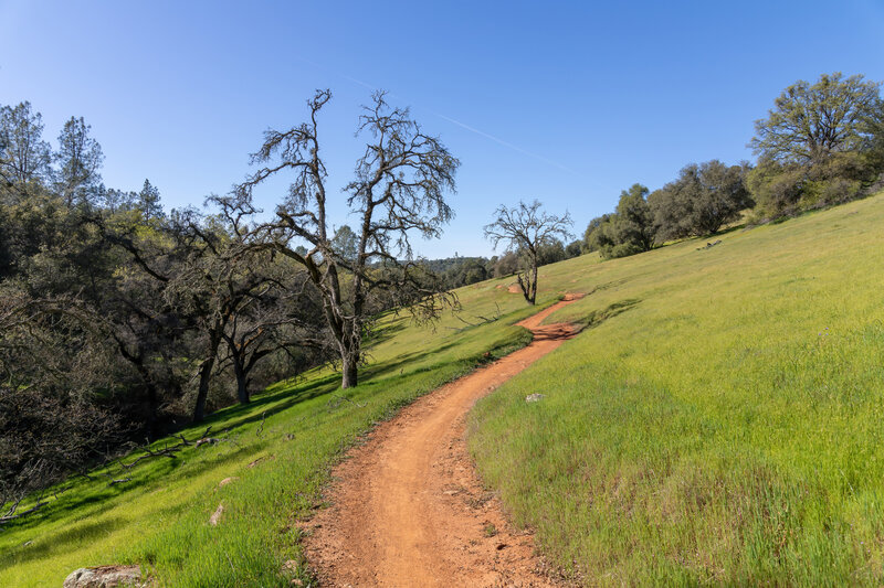 Pheasant Trail Running Trail, North Auburn, California