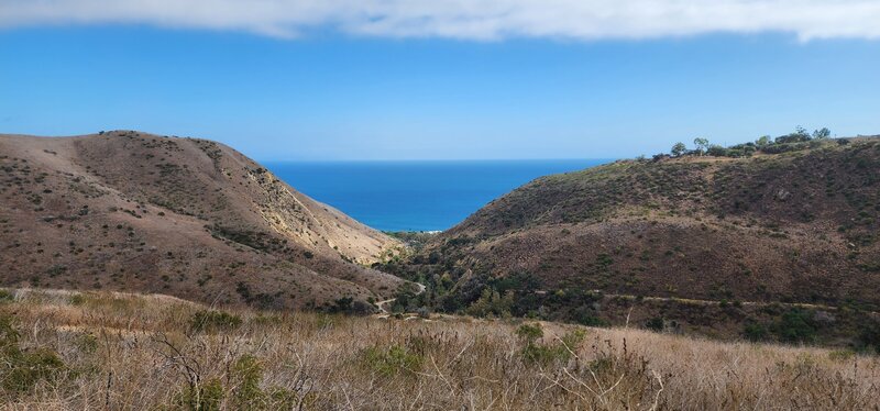 View of Pacific Ocean from Rising Sun Trail.