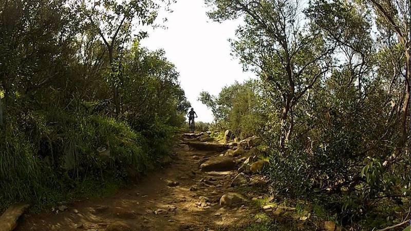 Cowles Mtn
