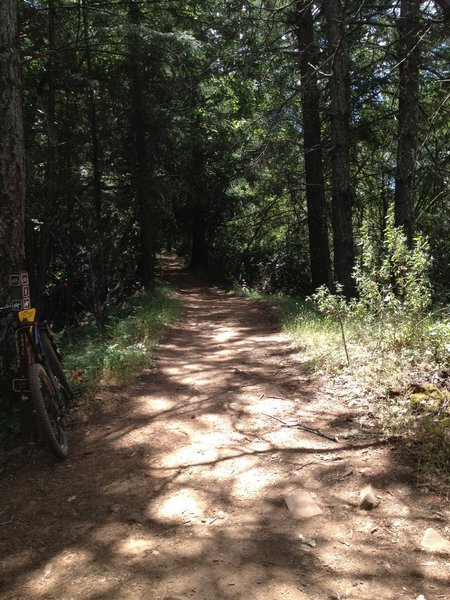 Cobblestone Trail