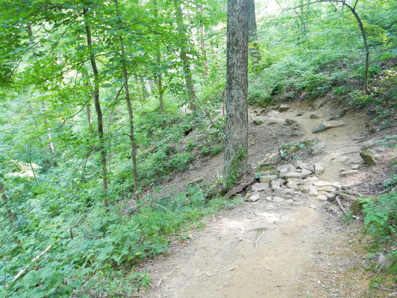 Walnut rock garden.