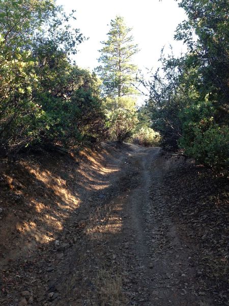 View of dirt doubletrack trail right off deer flat road.  Take this trail to eventually run into Wards Ferry Road.  Fun little section.