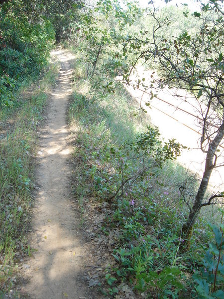 El Dorado Trail - Placerville to Folsom