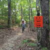 Shredding the CCC Quarry Trail!