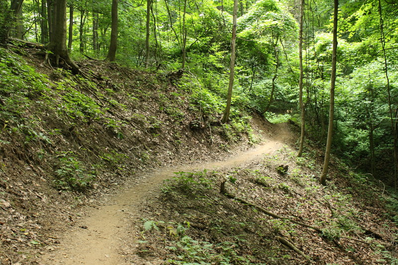 A bit of exposure on a narrow section of trail with a deep bench cut ...