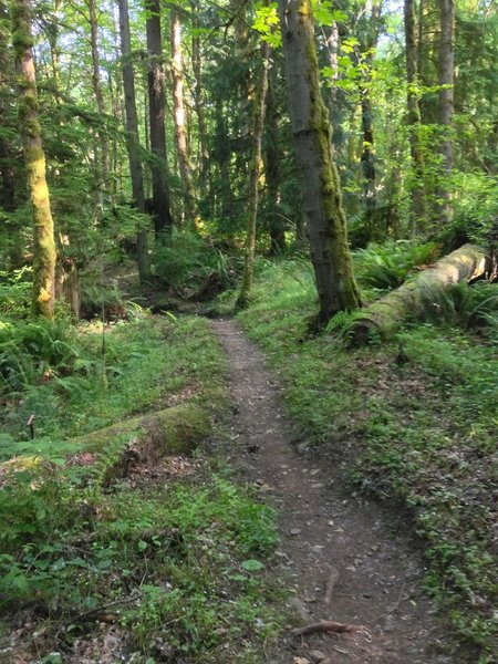 Iron Gate Trail