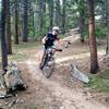 Fast and fun singletrack section