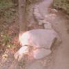 Optional rock obstacle, west loop, Carver Lake MTB trail