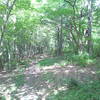 Lakeshore Trail