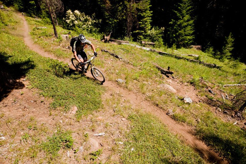 North Umpqua Trail: Lemolo Segment