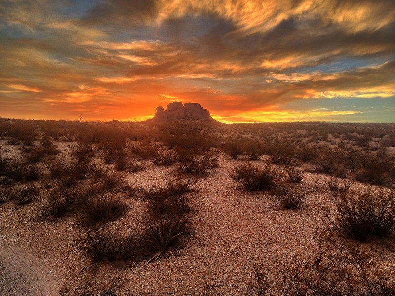 The Sidewalk Mountain Bike Trail, Doña Ana, New Mexico