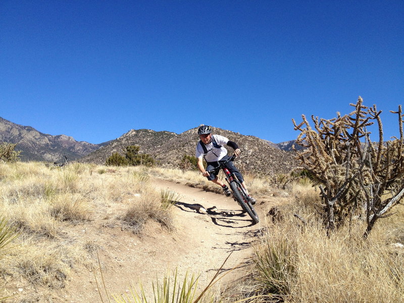 Sandia peak mountain biking Outlet