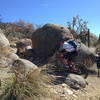 Lance weaving through rocks on the way back to the parking area