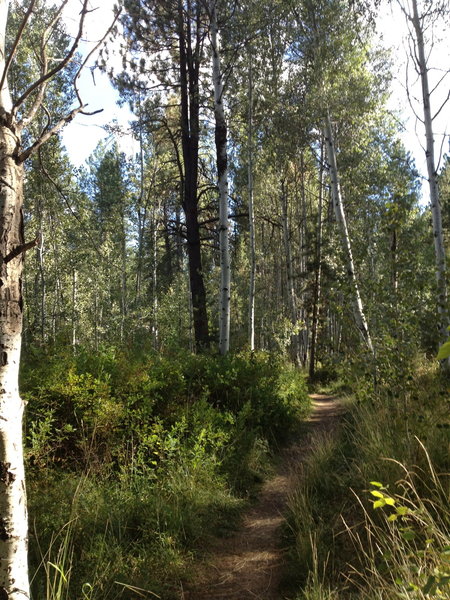 Shevlin Park Loop Trail