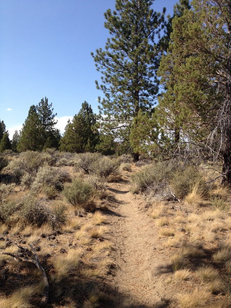 Smooth, flowing trails with excellent vistas.