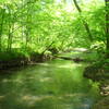 Crossing at East Armuchee Creek