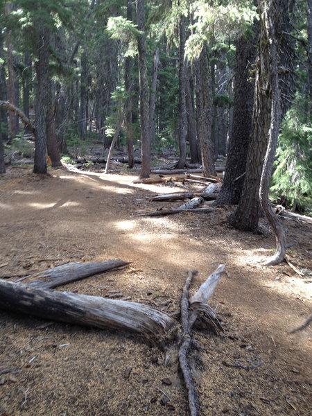 North Fork