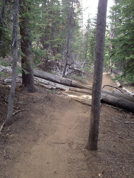 Off camber log ride
