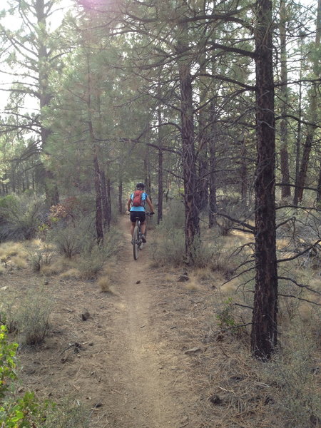 4606 Trail