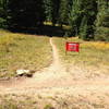Yer gonna die!  Well, probably not, but a stern warning from Vail resort anyways...  This is where Cougar Ridge Trail branches off of Grand Traverse.