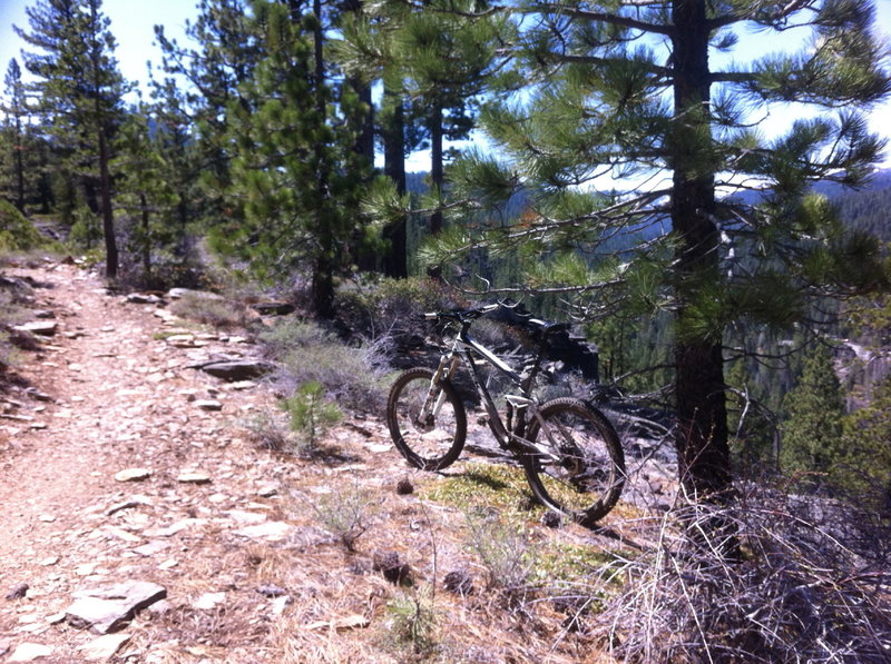 SawTooth. A fun little trail, a local favorite.
Truckee, Ca